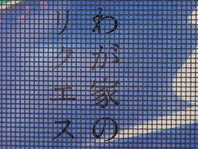 網戸掃除後