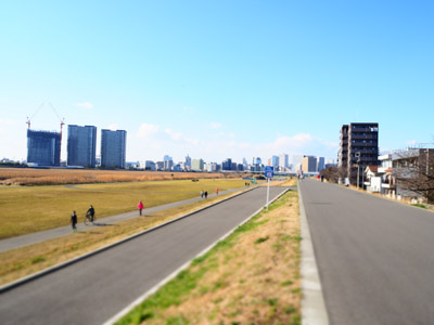 多摩川土手